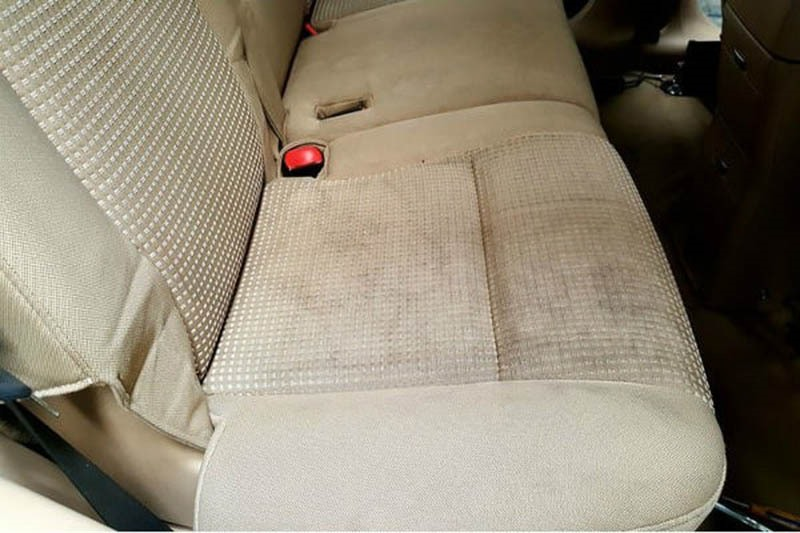 Ghế xe là một trong những vị trí có nhiều vi khuẩn và nấm mốc nhất