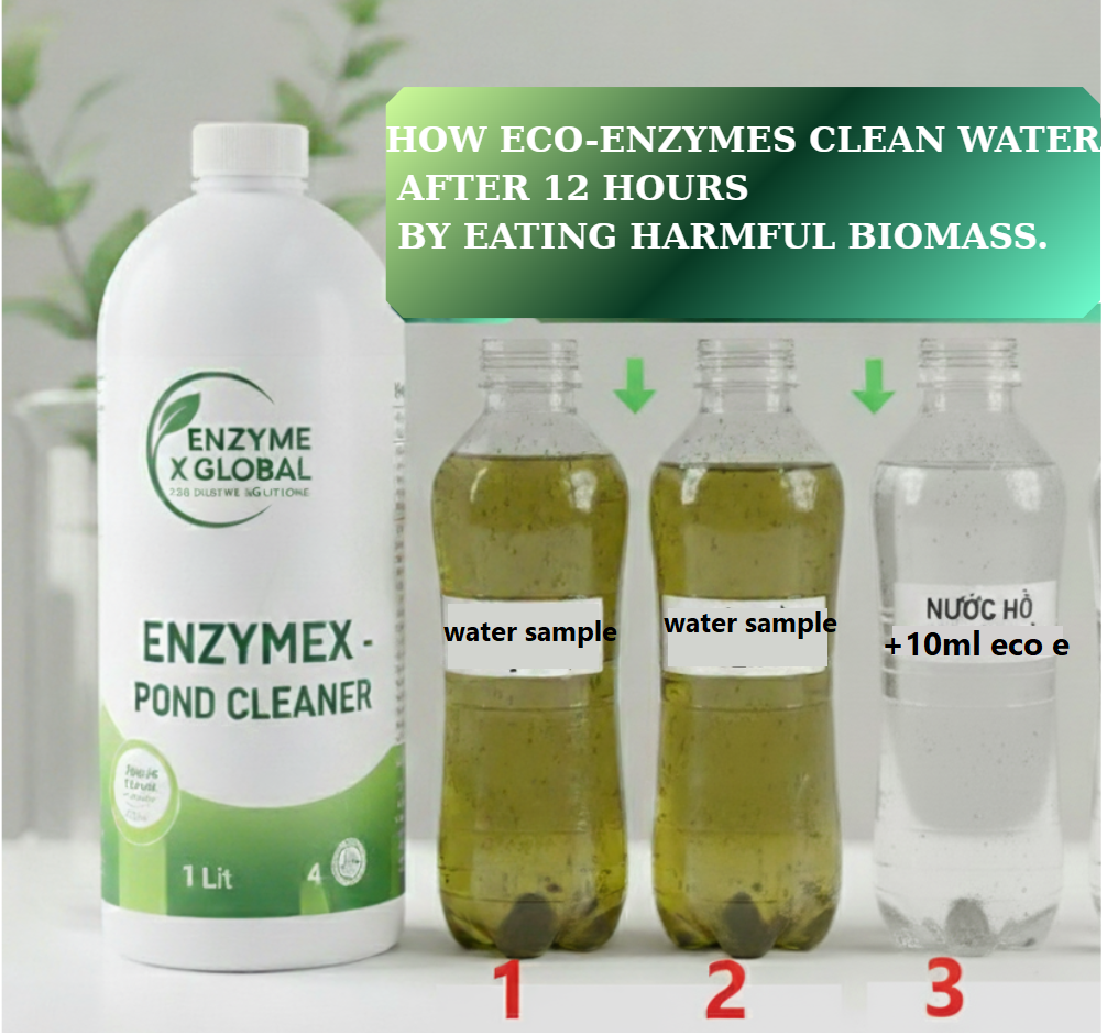 water cleaner
